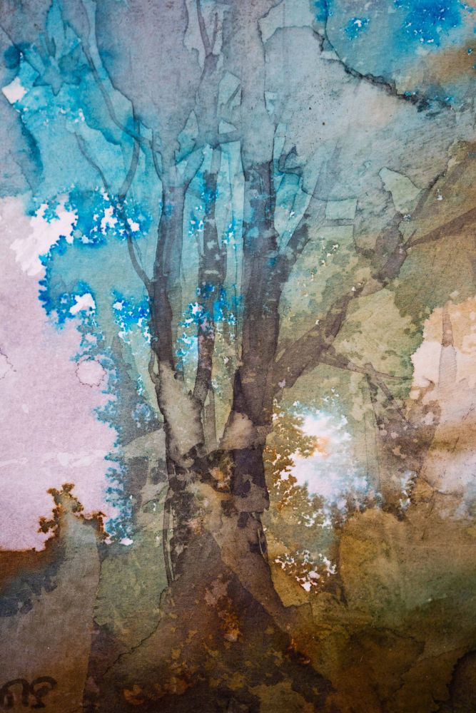 Foret aquarelle