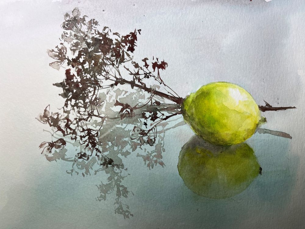Aquarelle vela citron