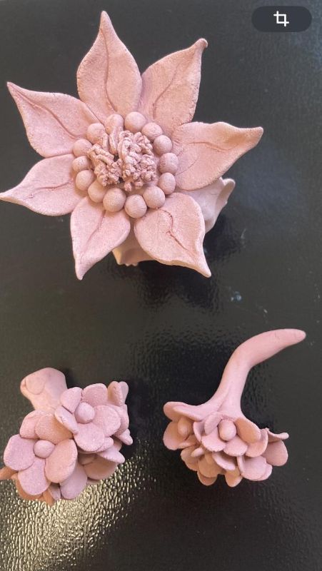 Fleurs en terre cuite rose - cours et stages